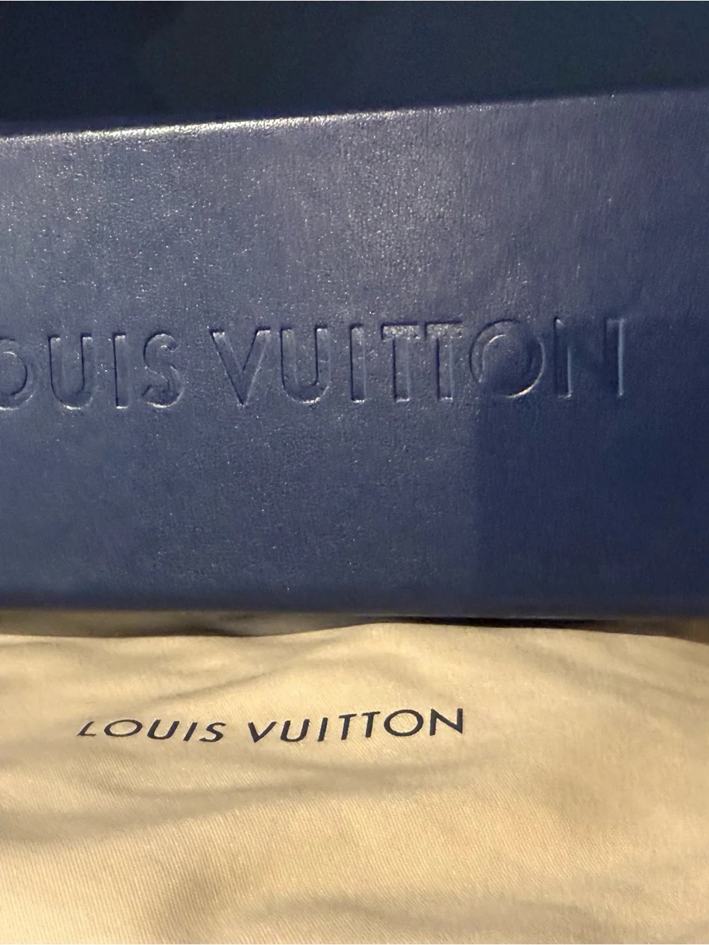 Louis Vuitton authentic louis
